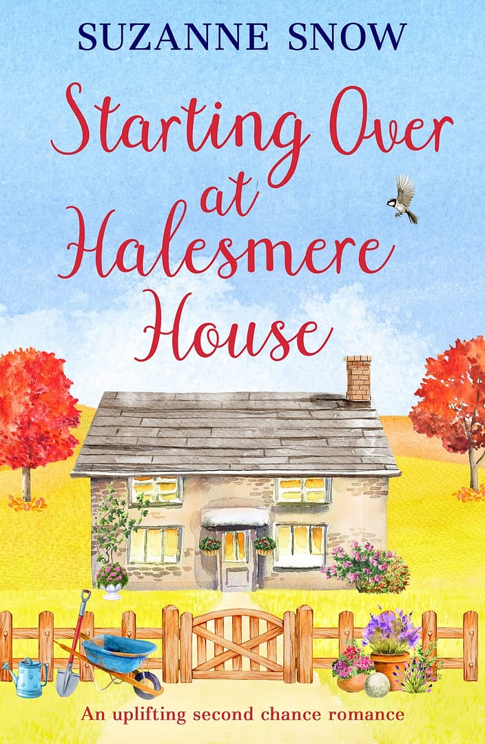 Starting Over at Halesmere House book cover